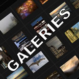 GALERIE